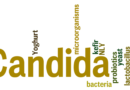 Will I have Candida forever?