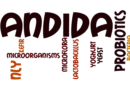 Is there a medical test for Candida?