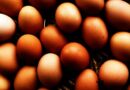 Eggs, cholesterol & CVD