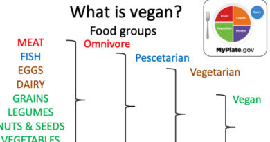 Should we be vegan?