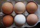 Eggs: The superfood you need to add to your diet